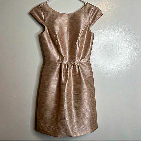 Alfred Sung Champagne Capped Sleeve Dress With Pockets!